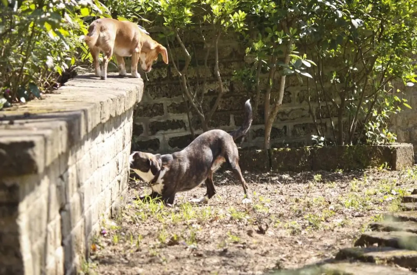 L'Agrifoglio Villa Francesca B&B