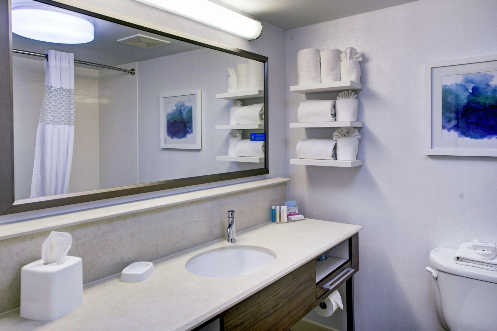 Hampton Inn & Suites Lake Mary At Colonial Townpark