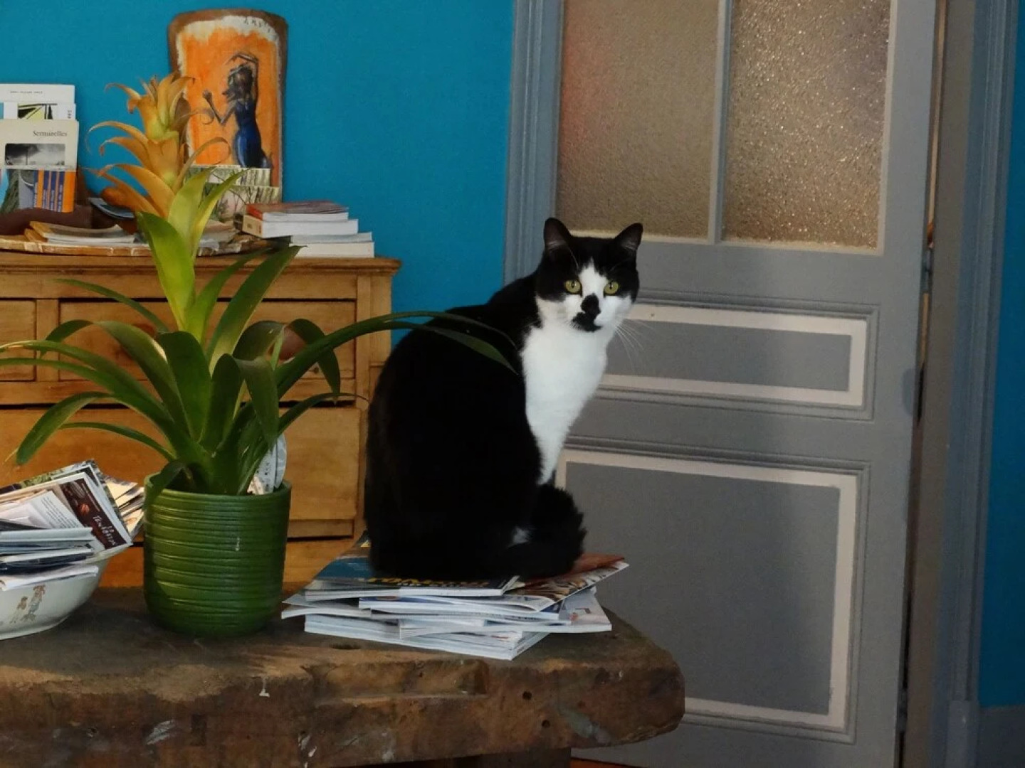 Chambre d'Hôtes Girolles les Forges (B&B)