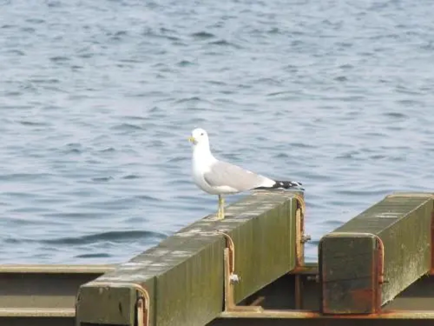 Steiner Strandappartements Appartement 304 Seeseite