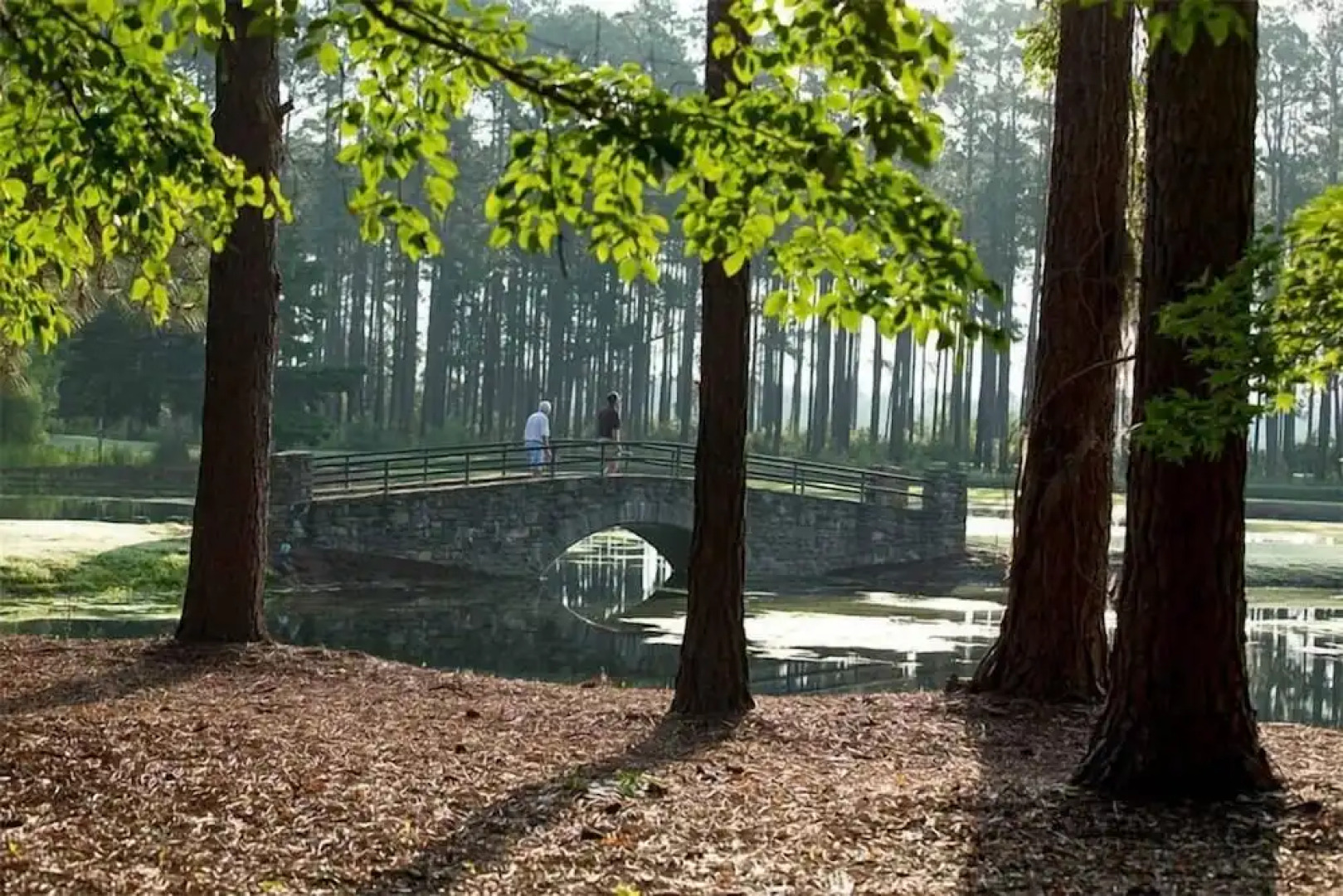 Little Ocmulgee State Park and Lodge