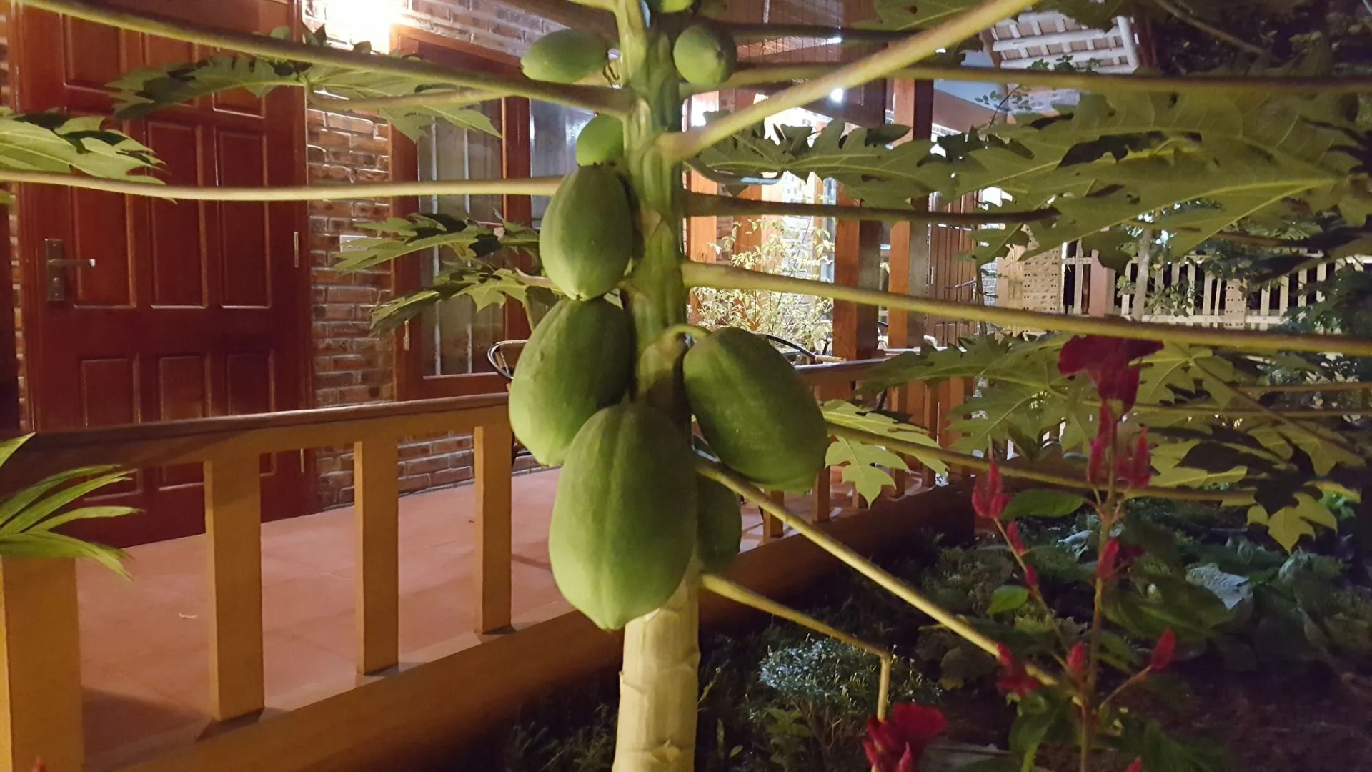 Tam Coc River View Homestay