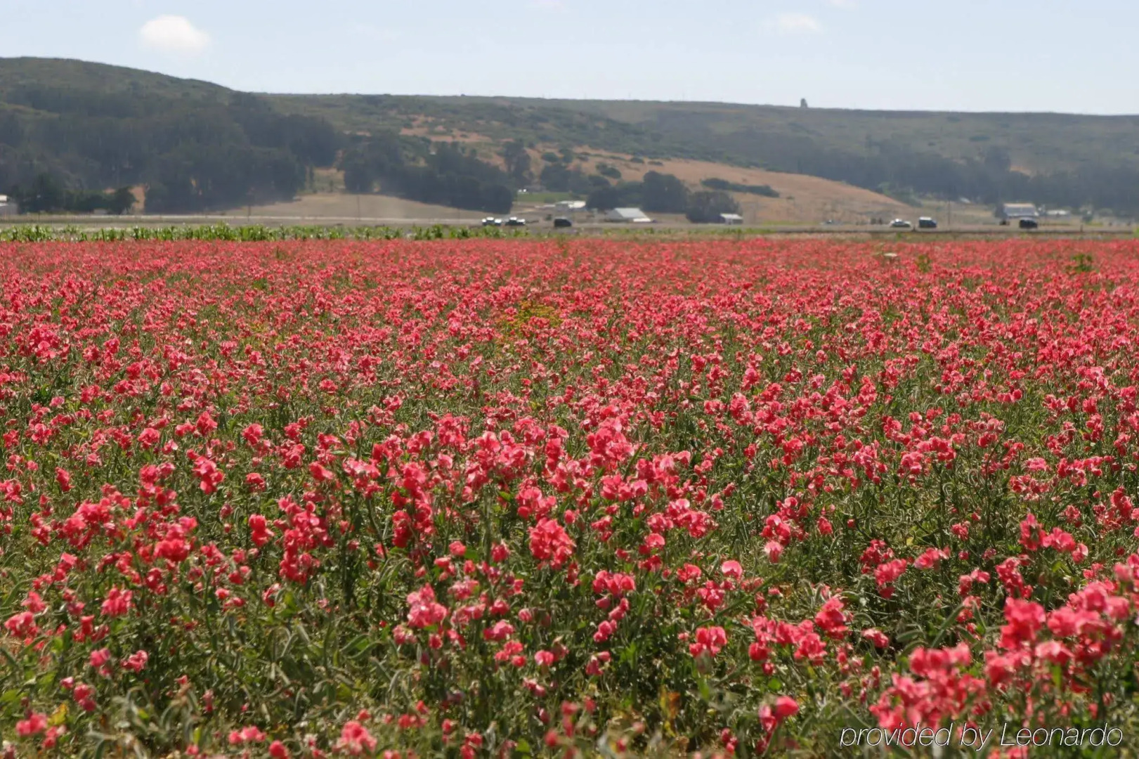 Holiday Inn Express Lompoc by IHG