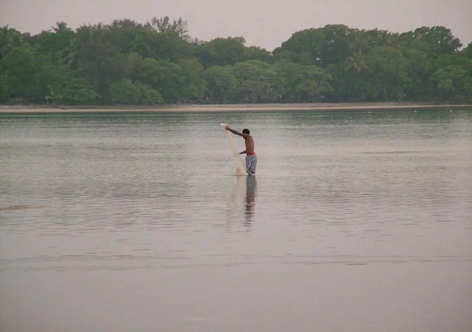 Pacific Lagoon Apartments