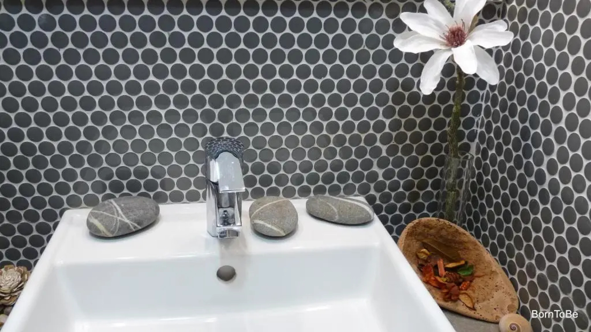 Born to Stay in Milfontes