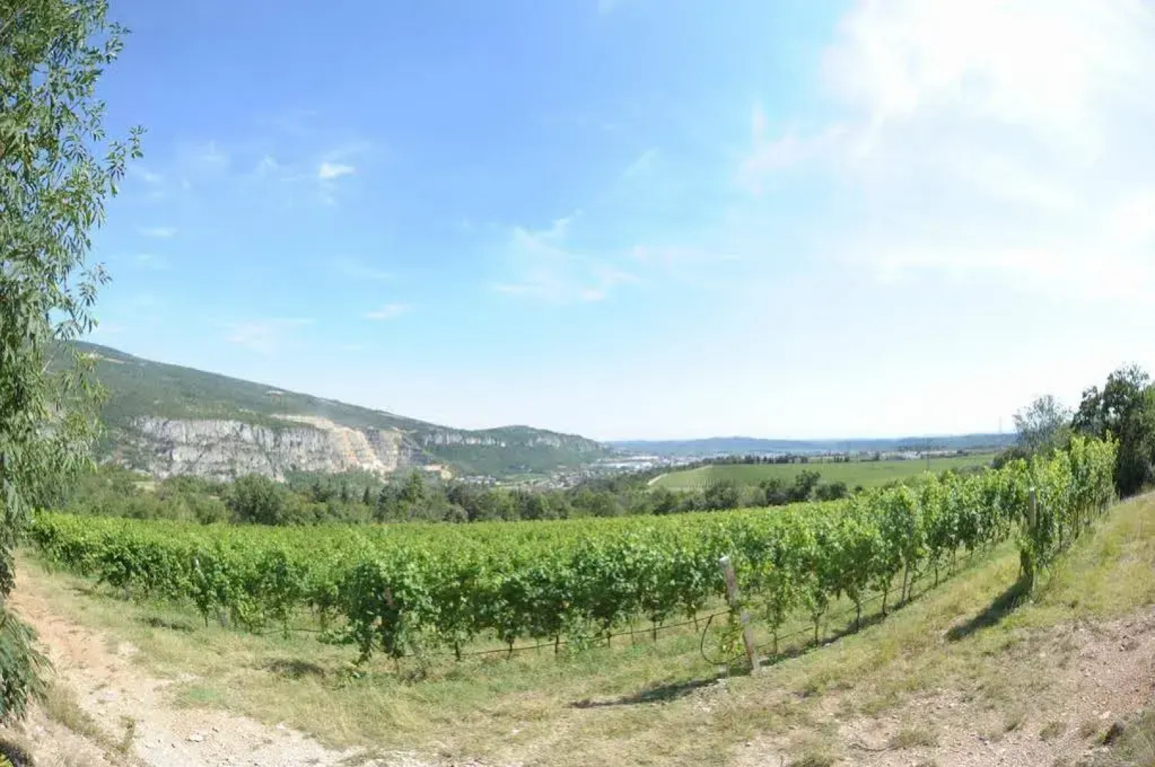 Agriturismo Sol De Montalto