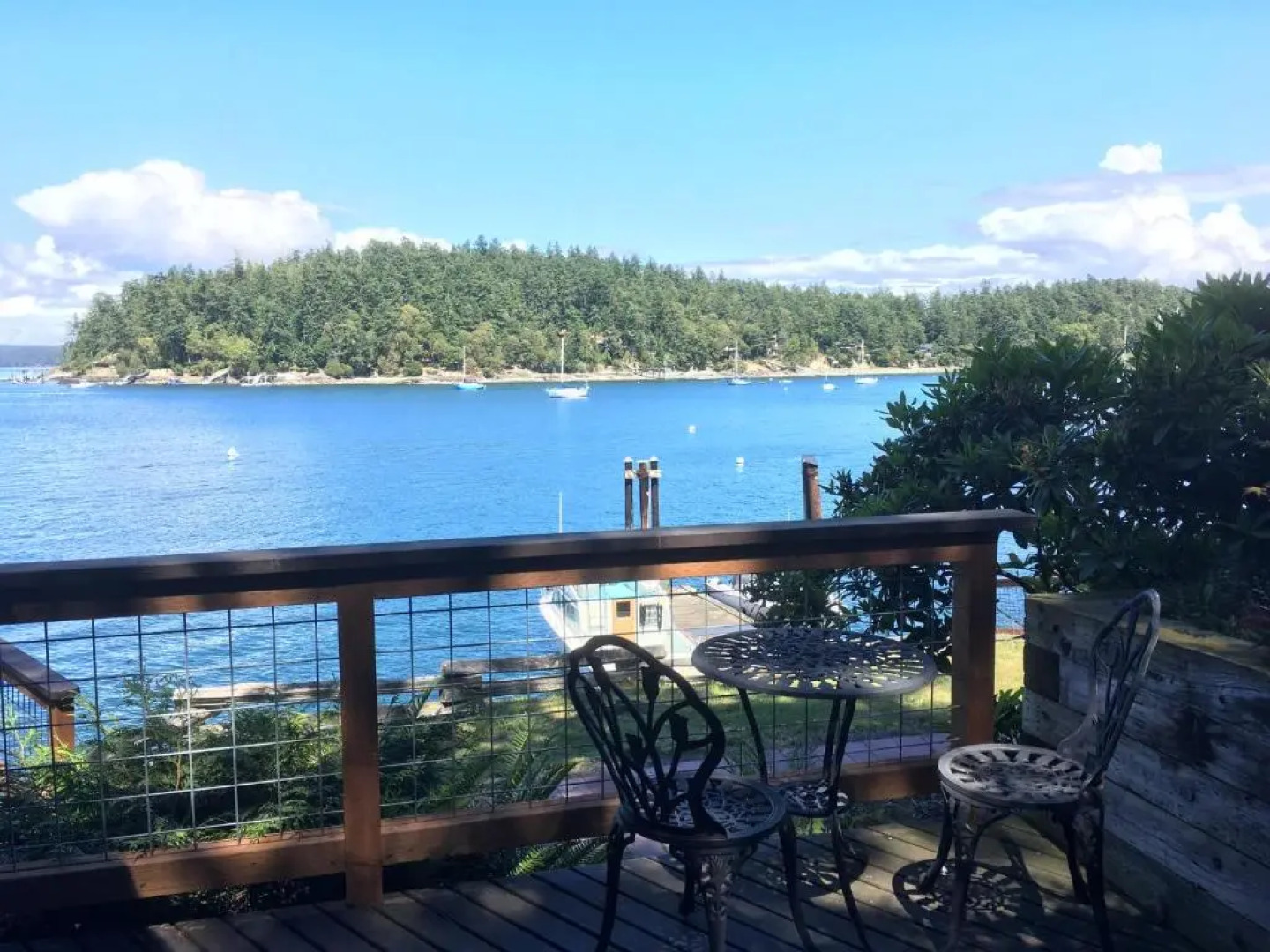 Friday Harbor Lights