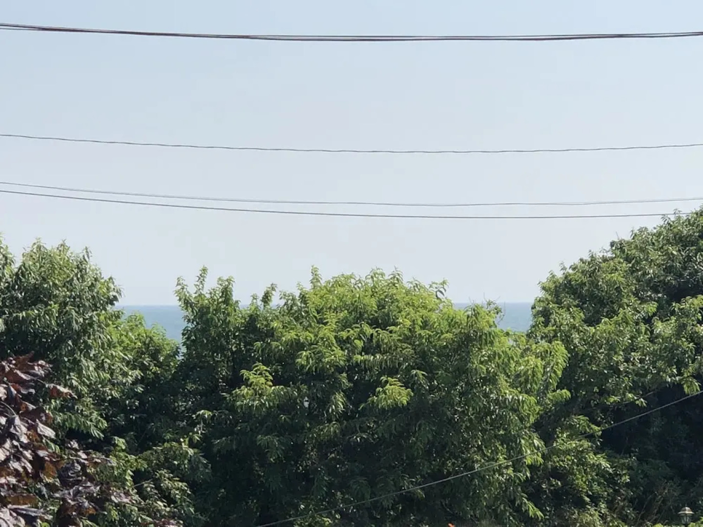 Kingfisher Oceanside