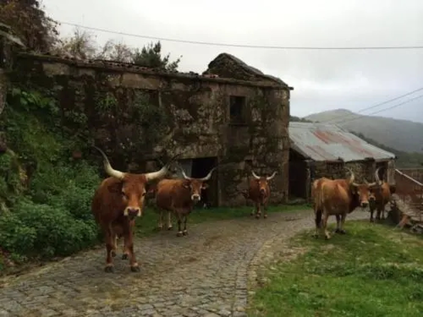 Casa do Ramiscal - Eido do Pomar