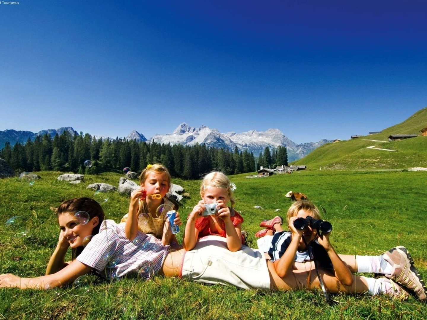 Sunlit Apartment near Ski Area in Schladming