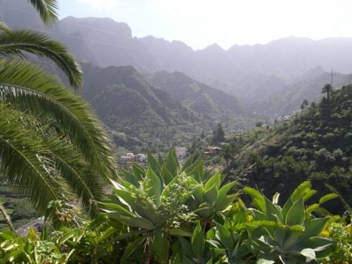 Casas Rurales Hermigua