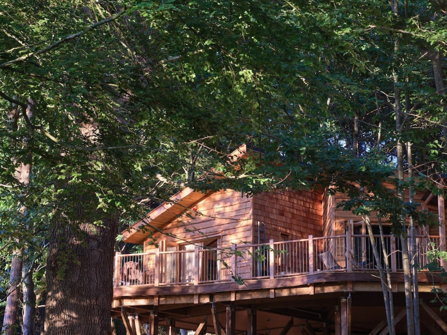 Tree House Retreats