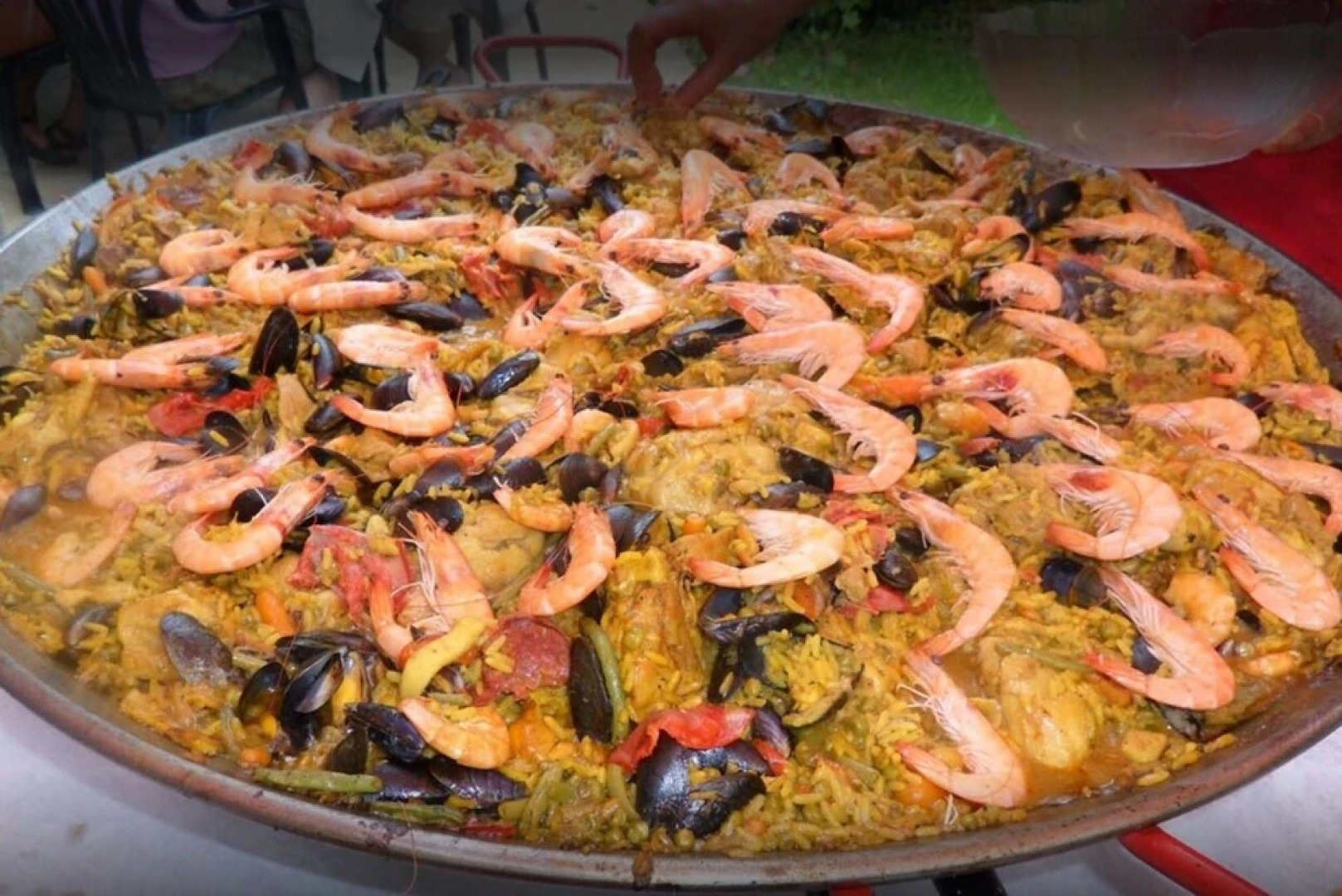 Le Camping Barétous Pyrénées