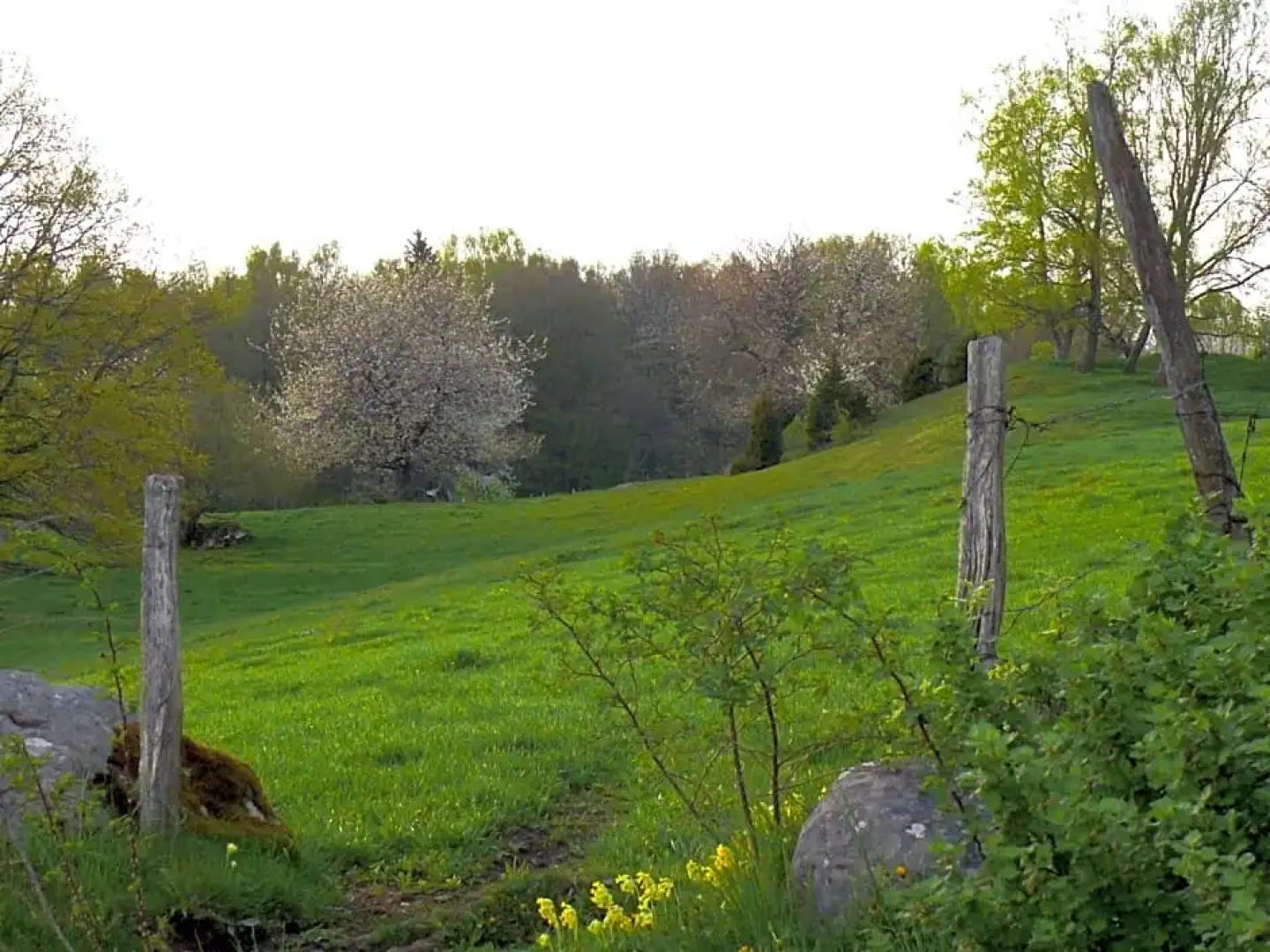 STF Lugnåsberget Hostel