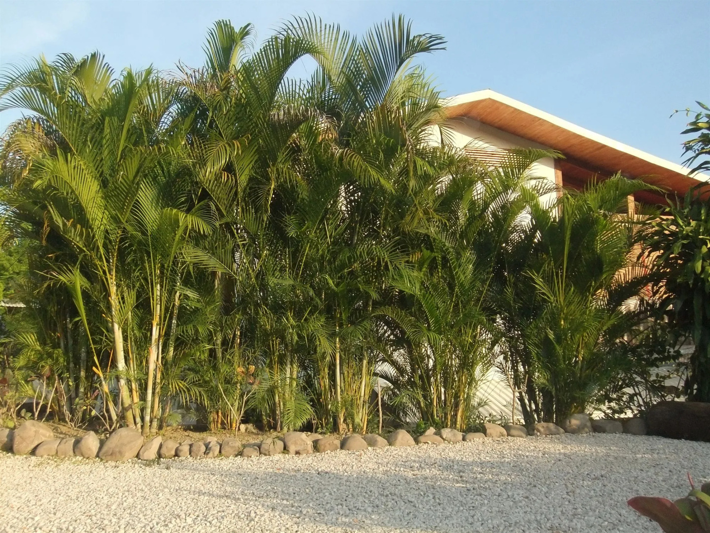 Vista Naranja Ocean View House