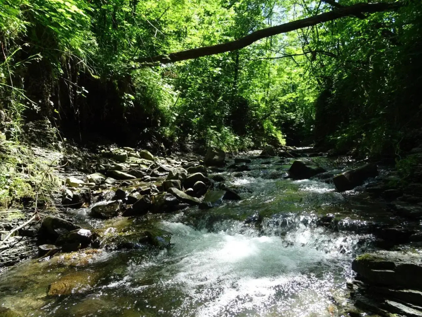 Potoczówka Apartamenty