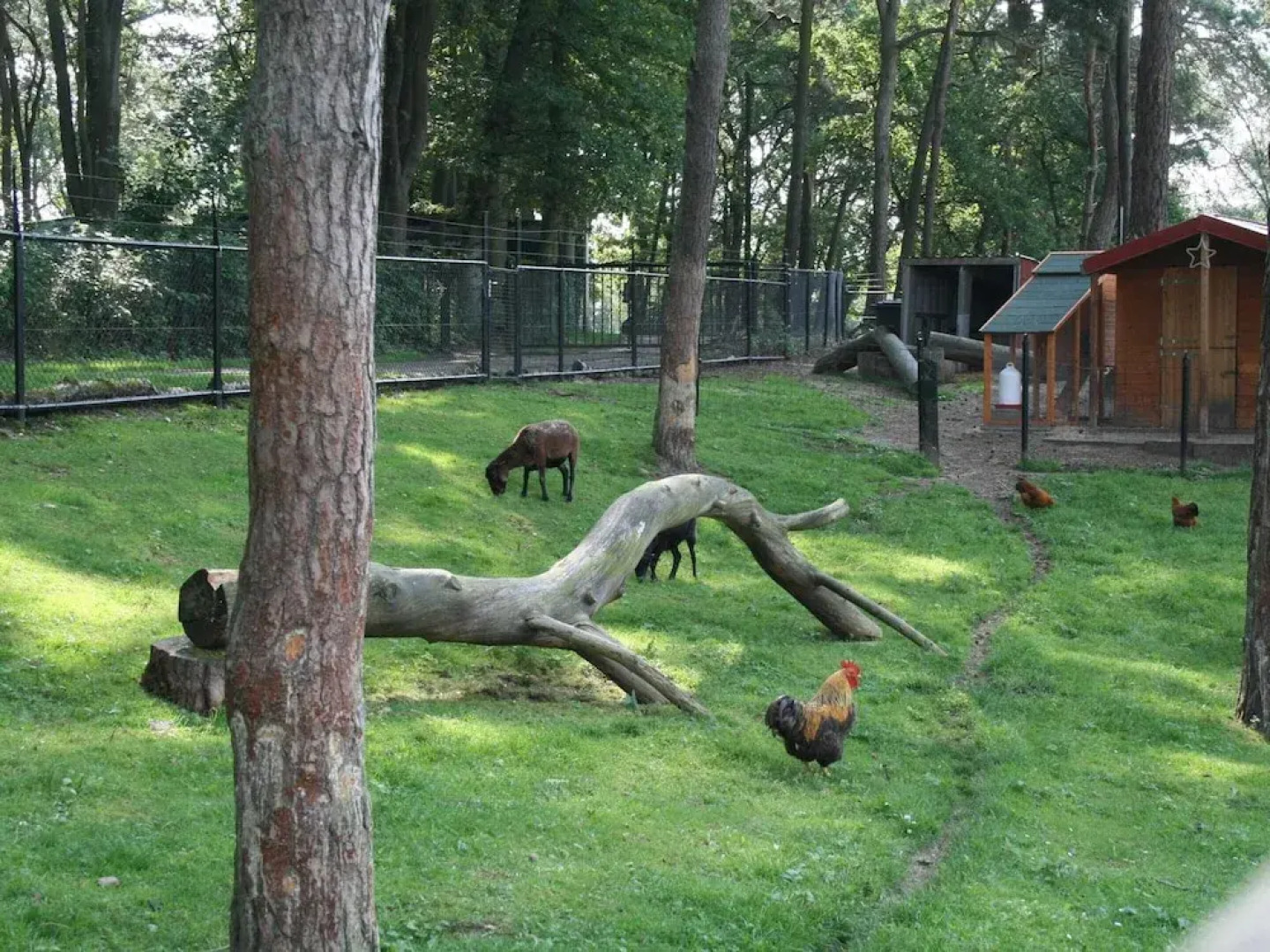 Wooden Chalet Near Brunssummerheide