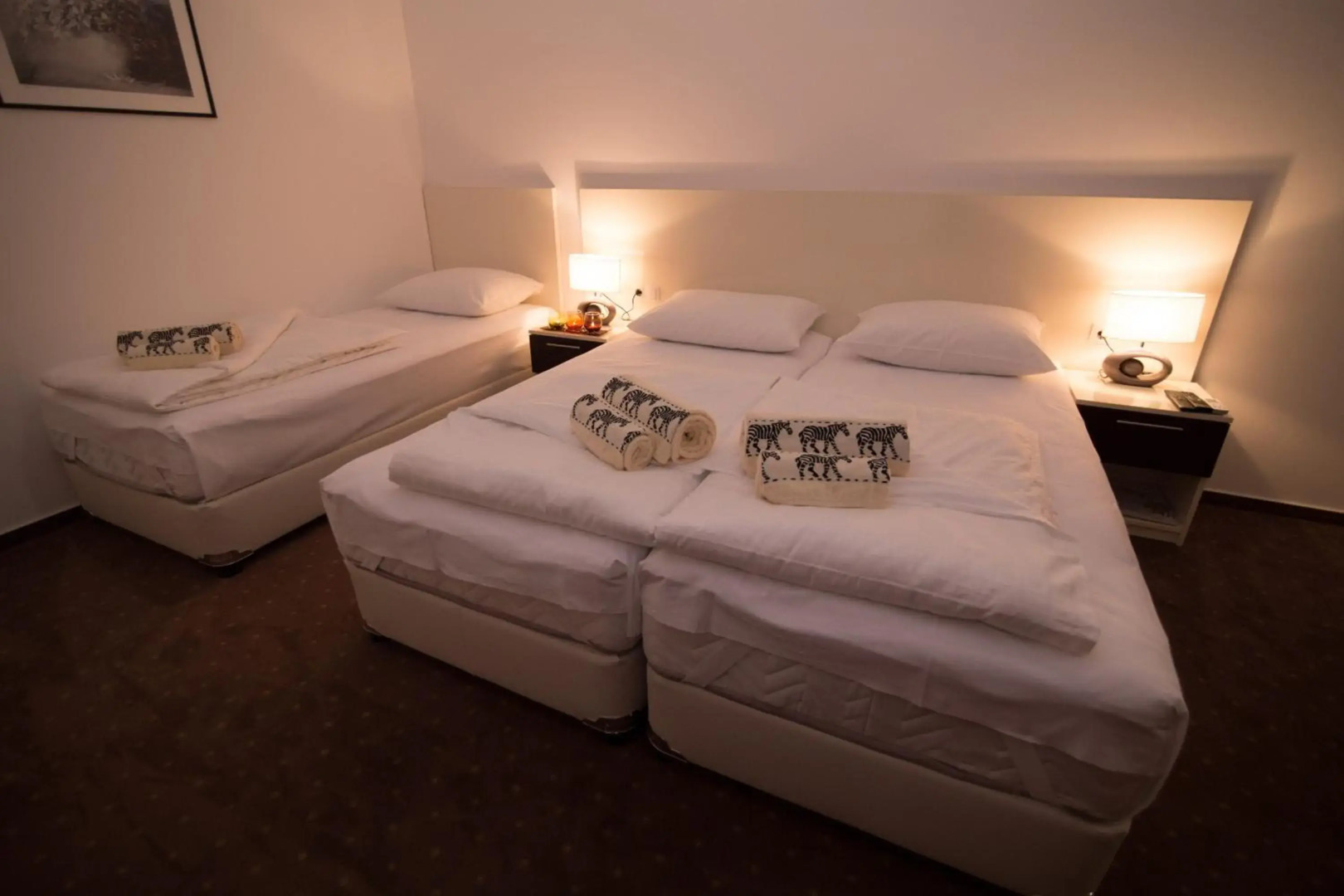 Luxury Apartments Taša