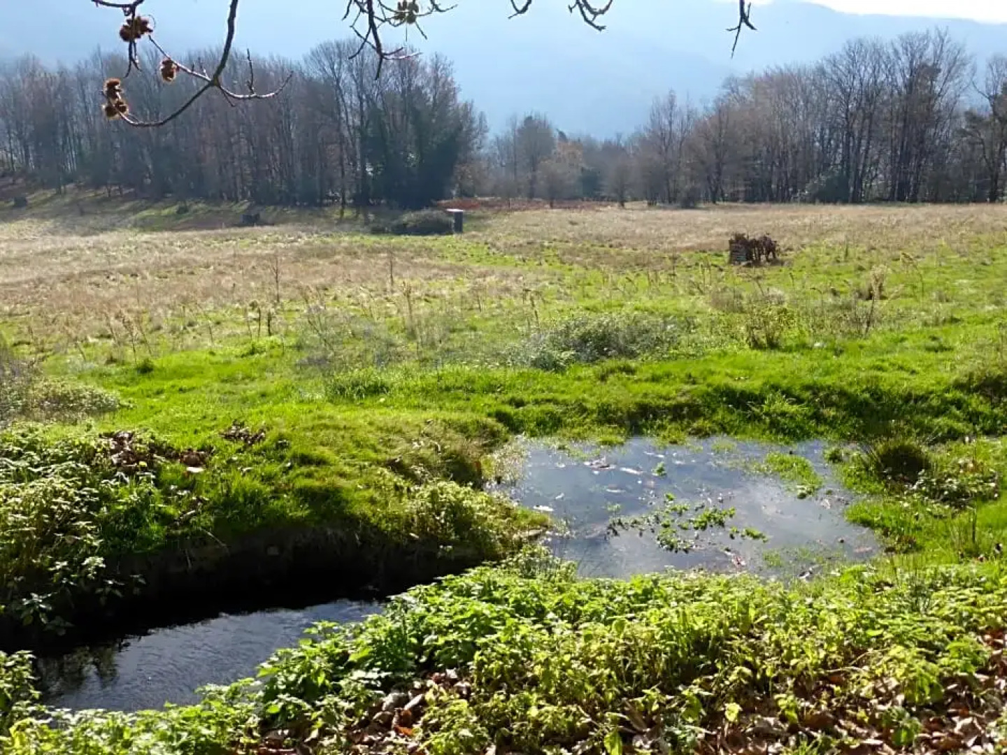 B&B Bouton D'Or La Bouriotte