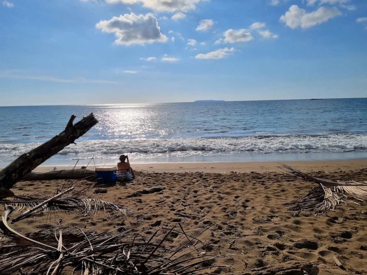 Cabinas Pura Vida Bed & Breakfast