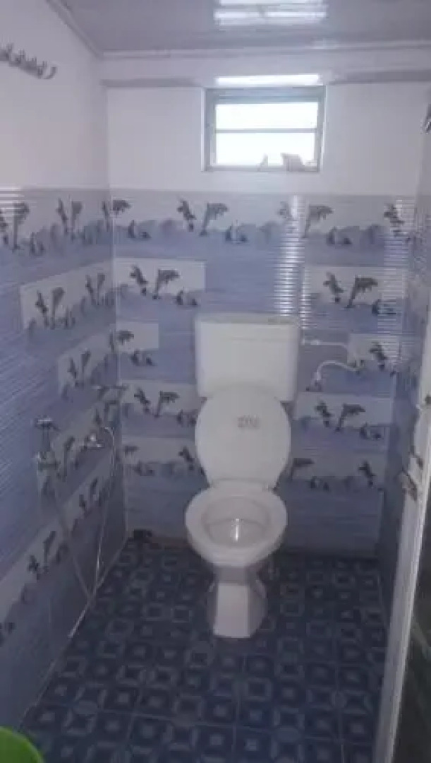 Vamoosetrail Singell