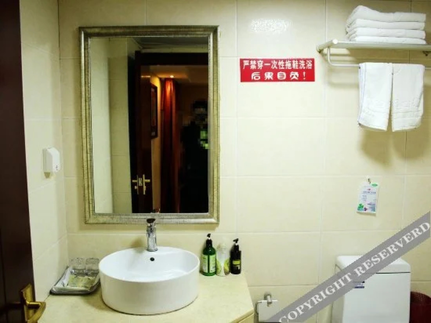 Qingwei City Culture Tourism Holiday Hotel