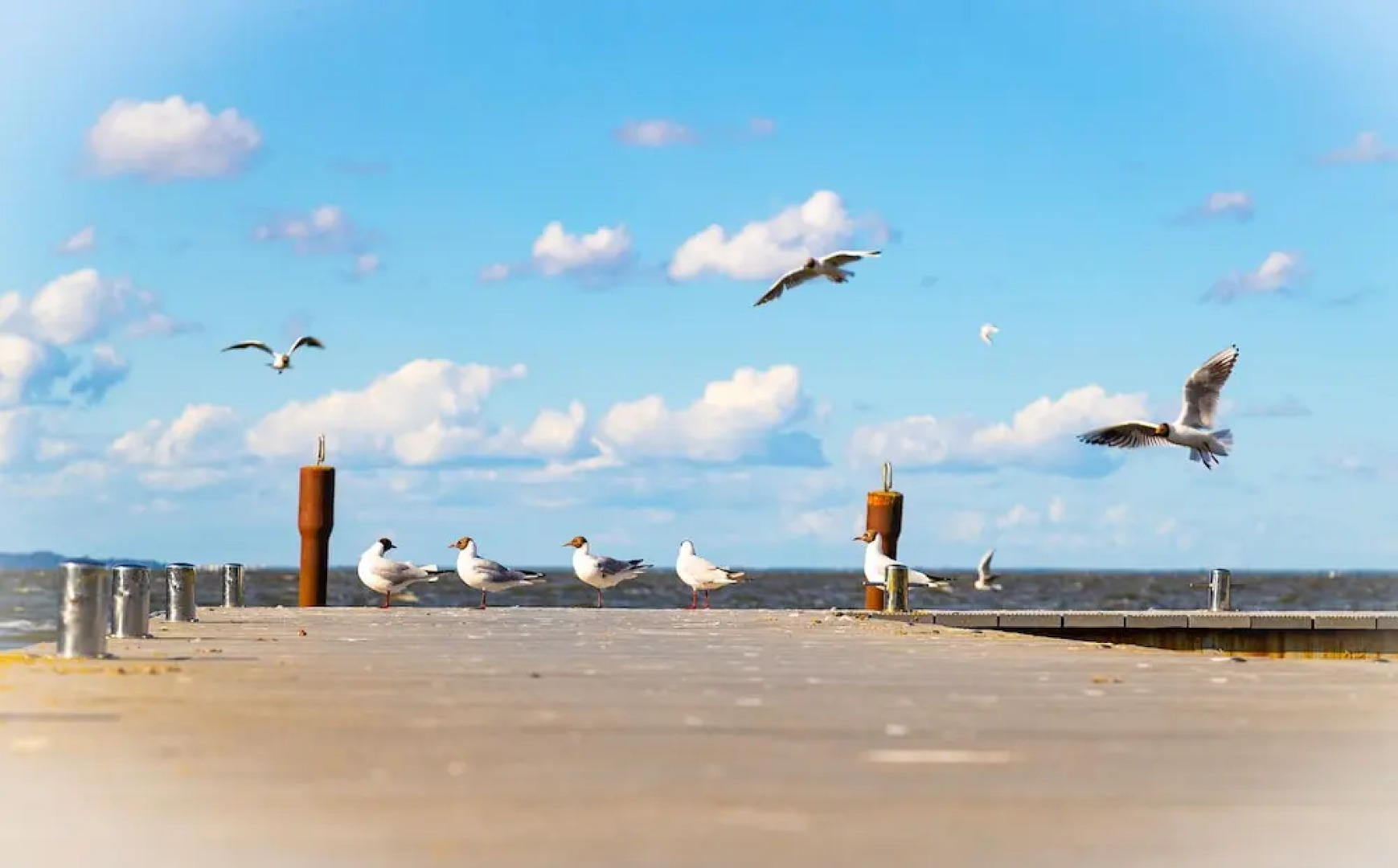 Hotel Ferienanlage Haffhus