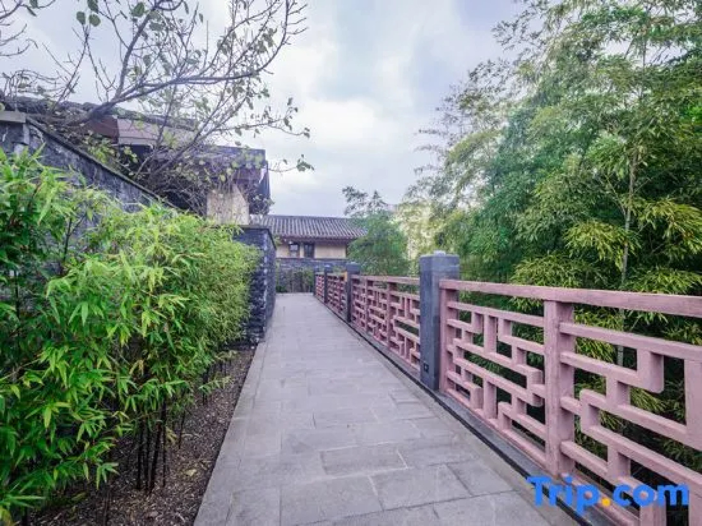 Mount Emei View Hot Spring Soup House