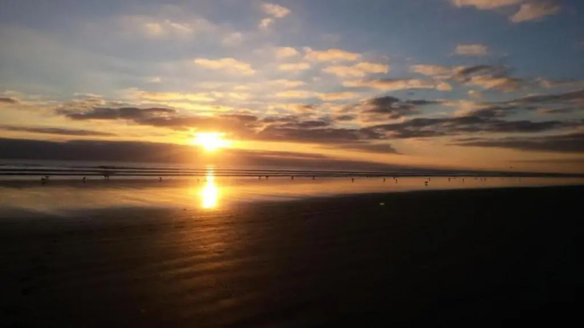 Mobil-home 6 pers. accès direct à la plage 69083