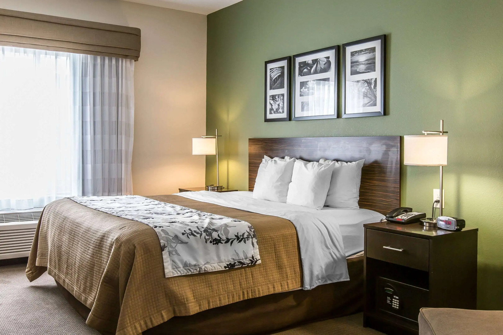 Sleep Inn & Suites Mount Olive