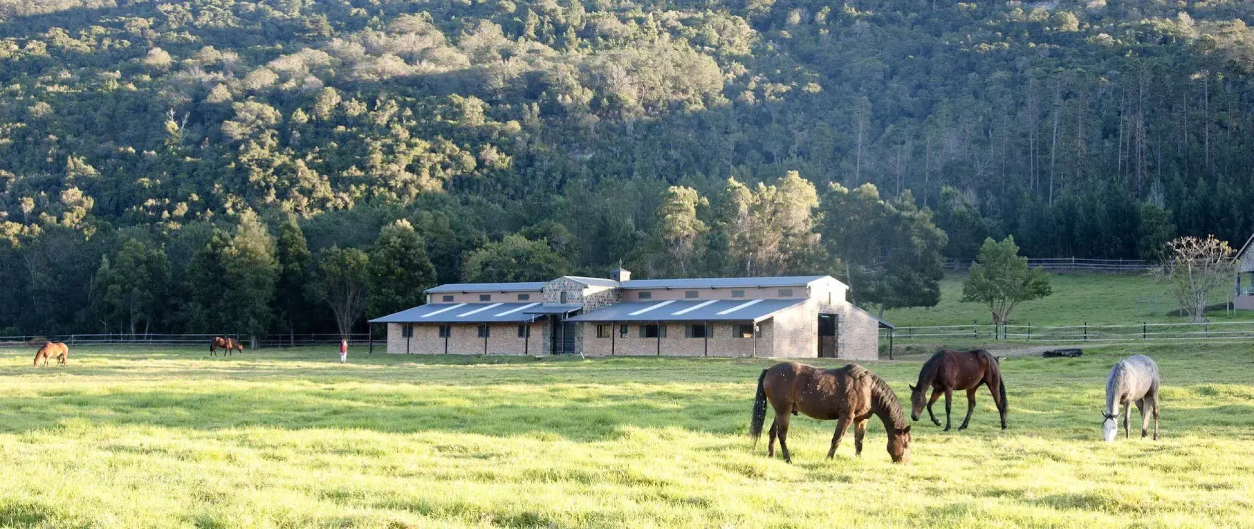 Swartvlei Guest Farm