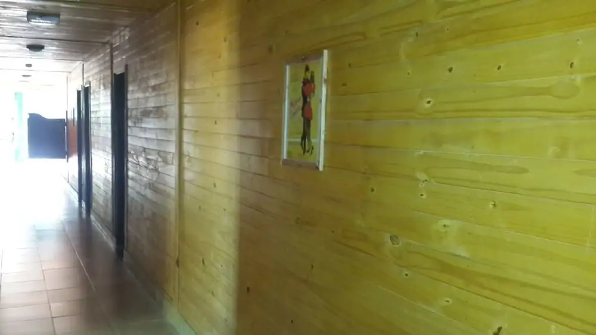 Complejo Río los Patos - Cabañas y Hostel