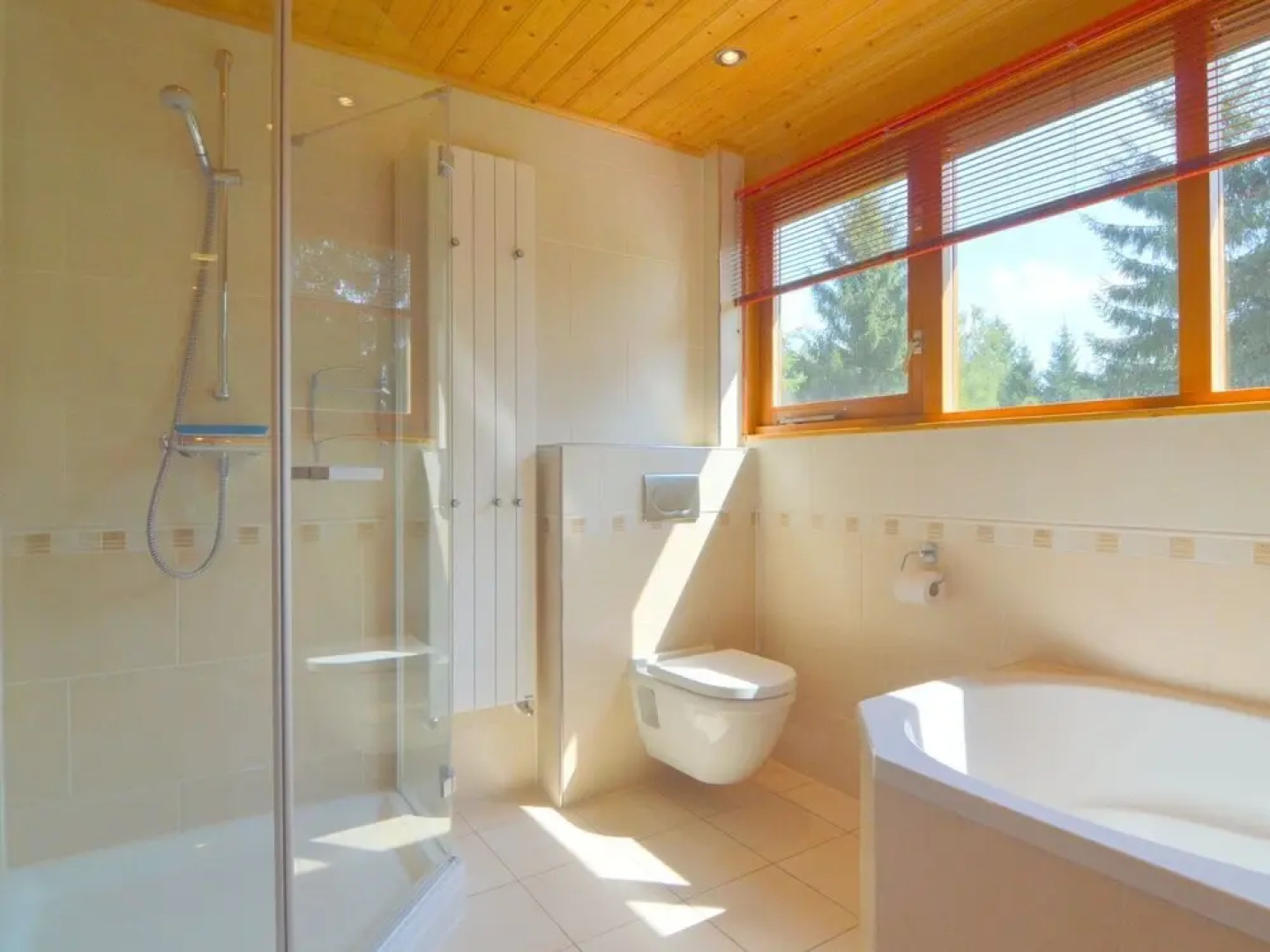 Beautiful wooden villa on a large private site on the Veluwe
