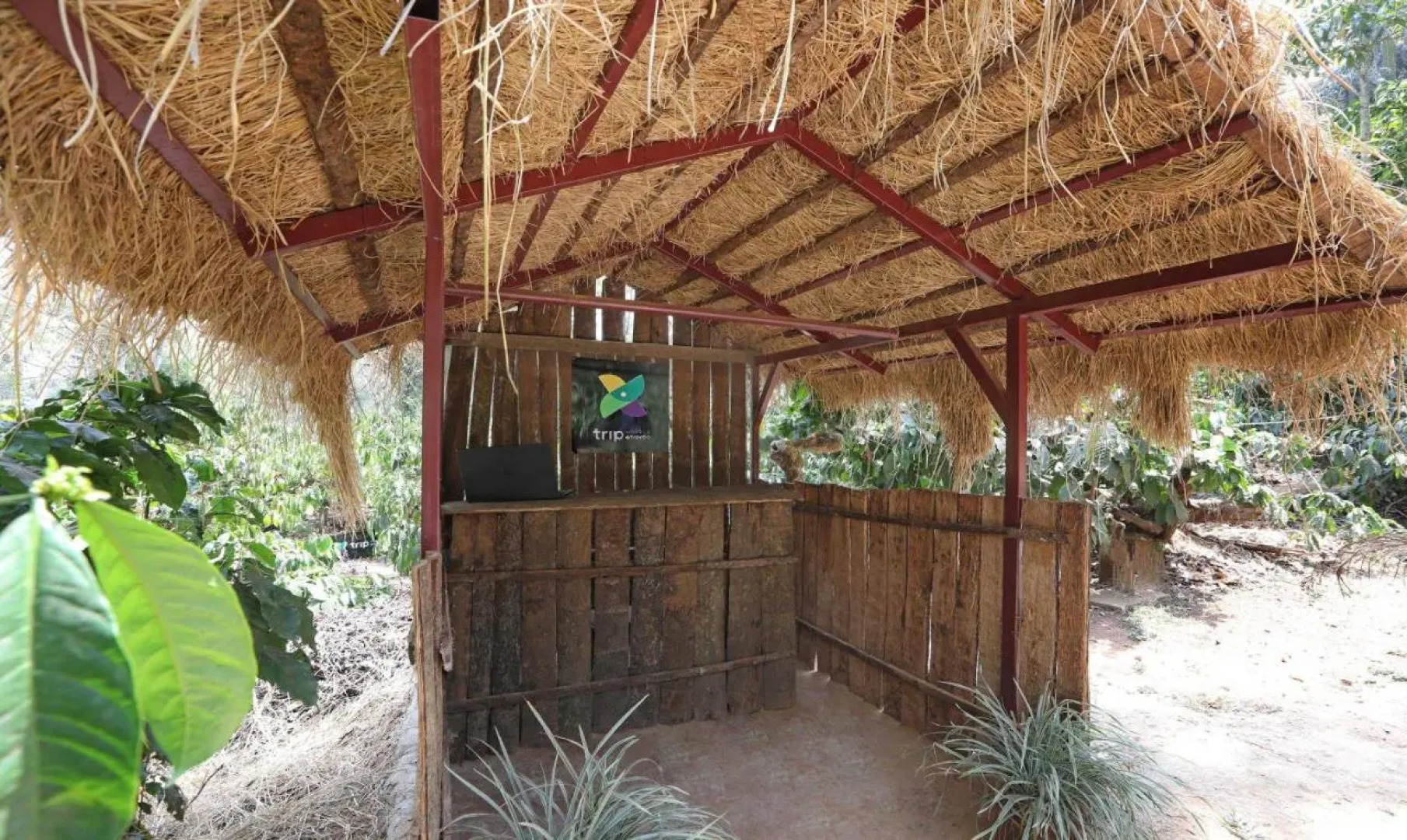 Itsy Hotels Jammabane Cottage