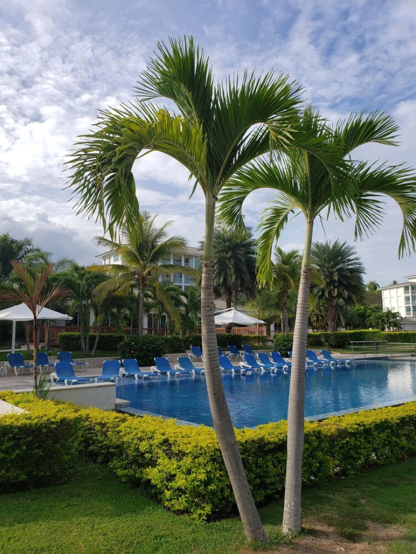 Bijao Beach Residences