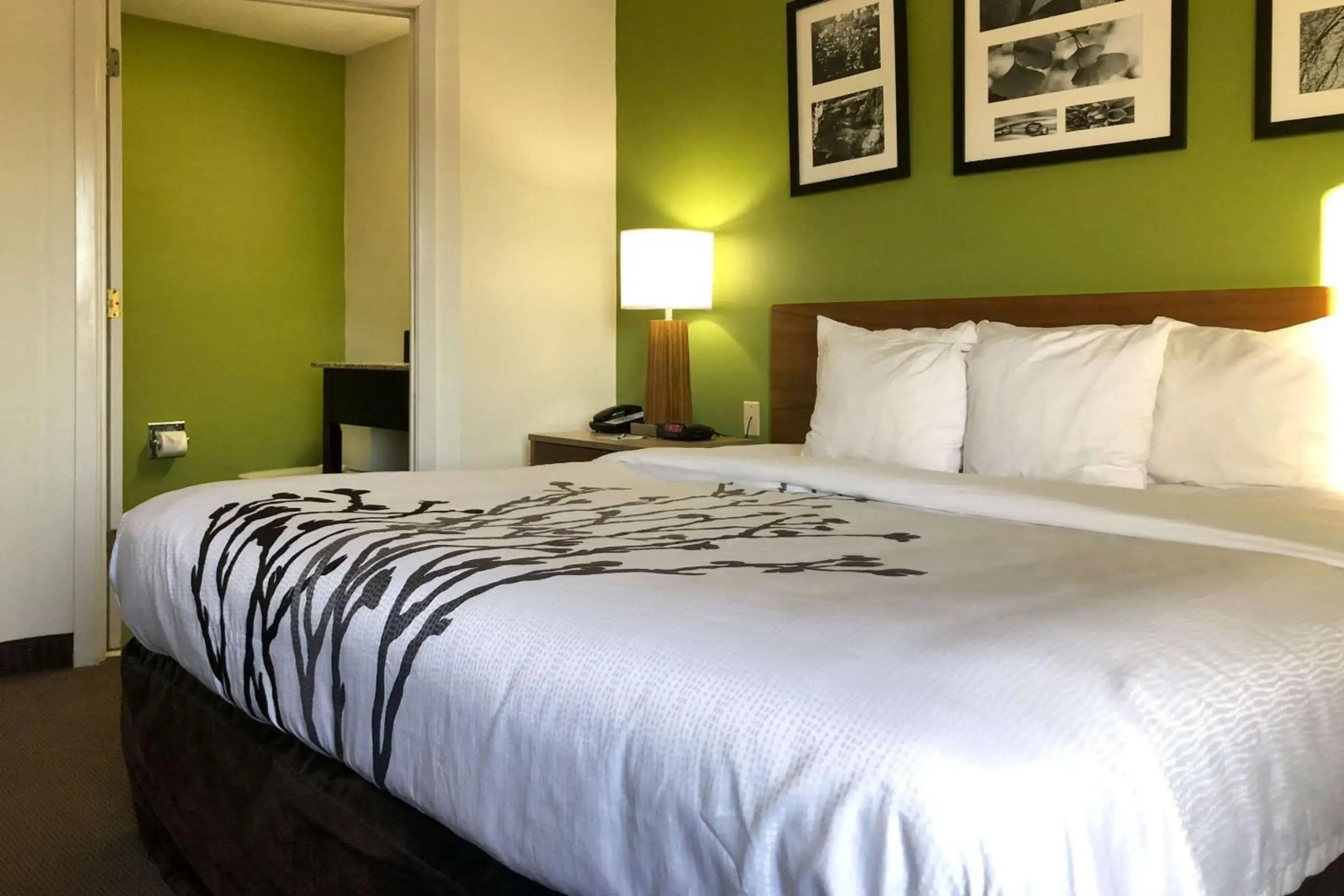 Sleep Inn Hardeeville - I-95