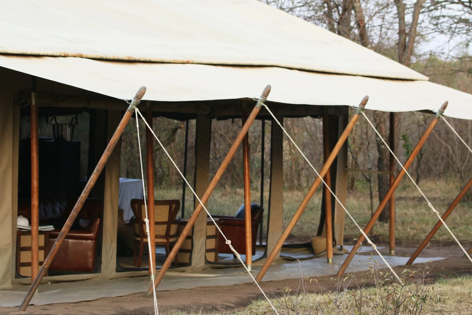Olengoti Safari Camp - East Africa Camps