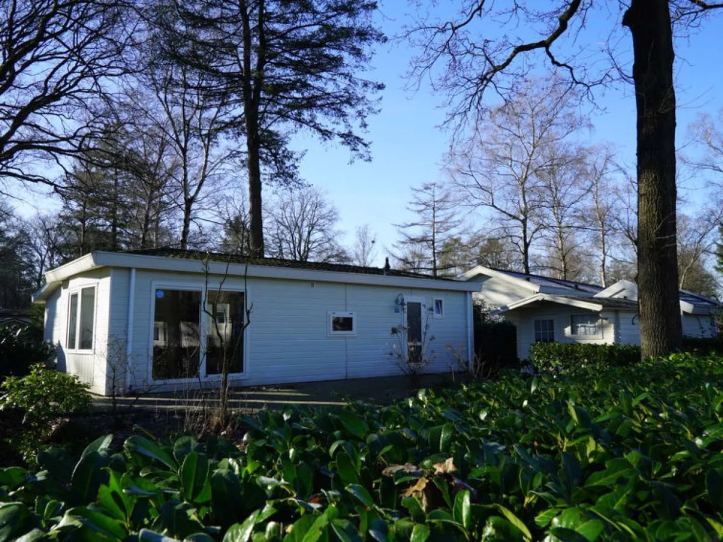 House Unique 4 Arnhem