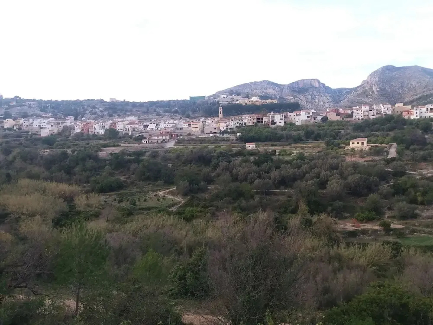 The Ca Lluis Rural House