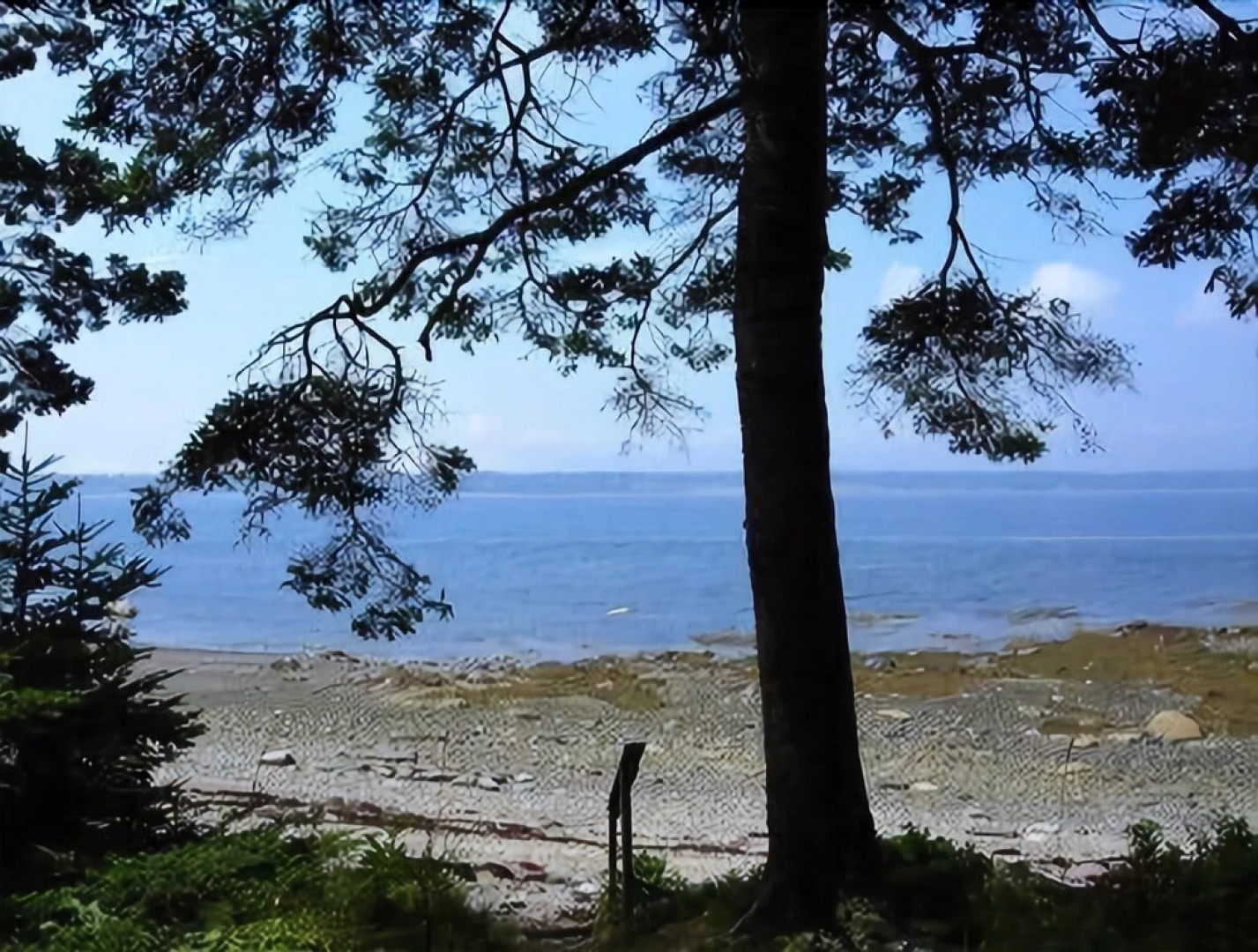 Bayside Retreat - Three Bedroom Cottage