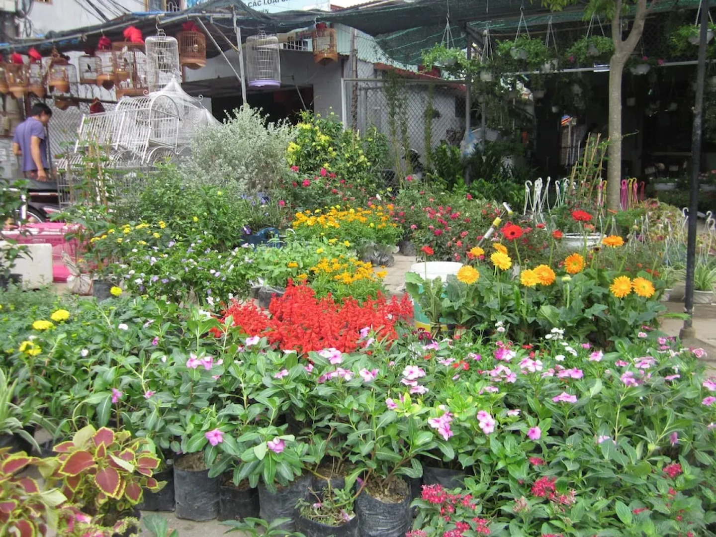 Hoang Kim Hotel Hai Phong