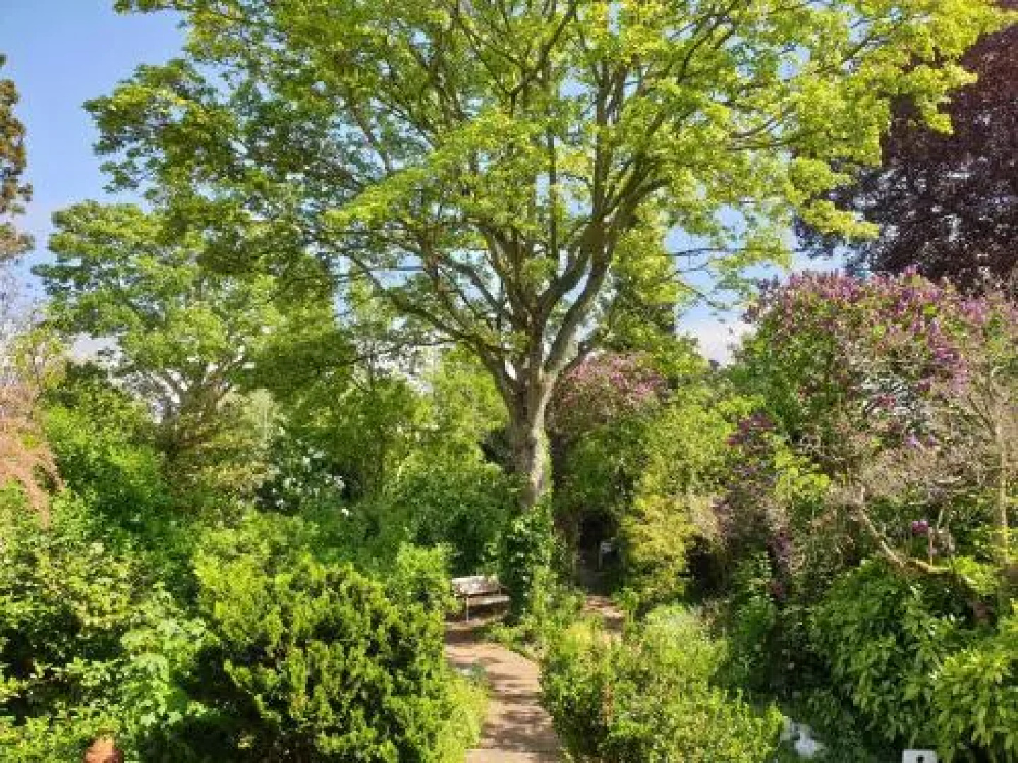 Bed & Breakfast Willem II