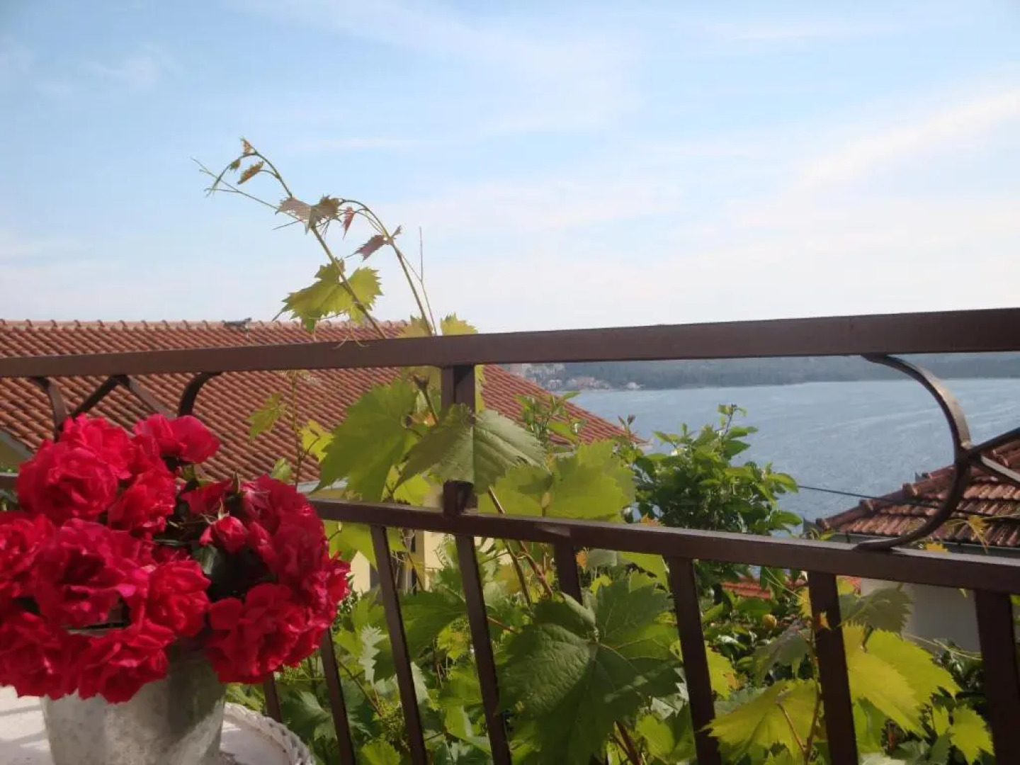 Apartment Spira Puovica