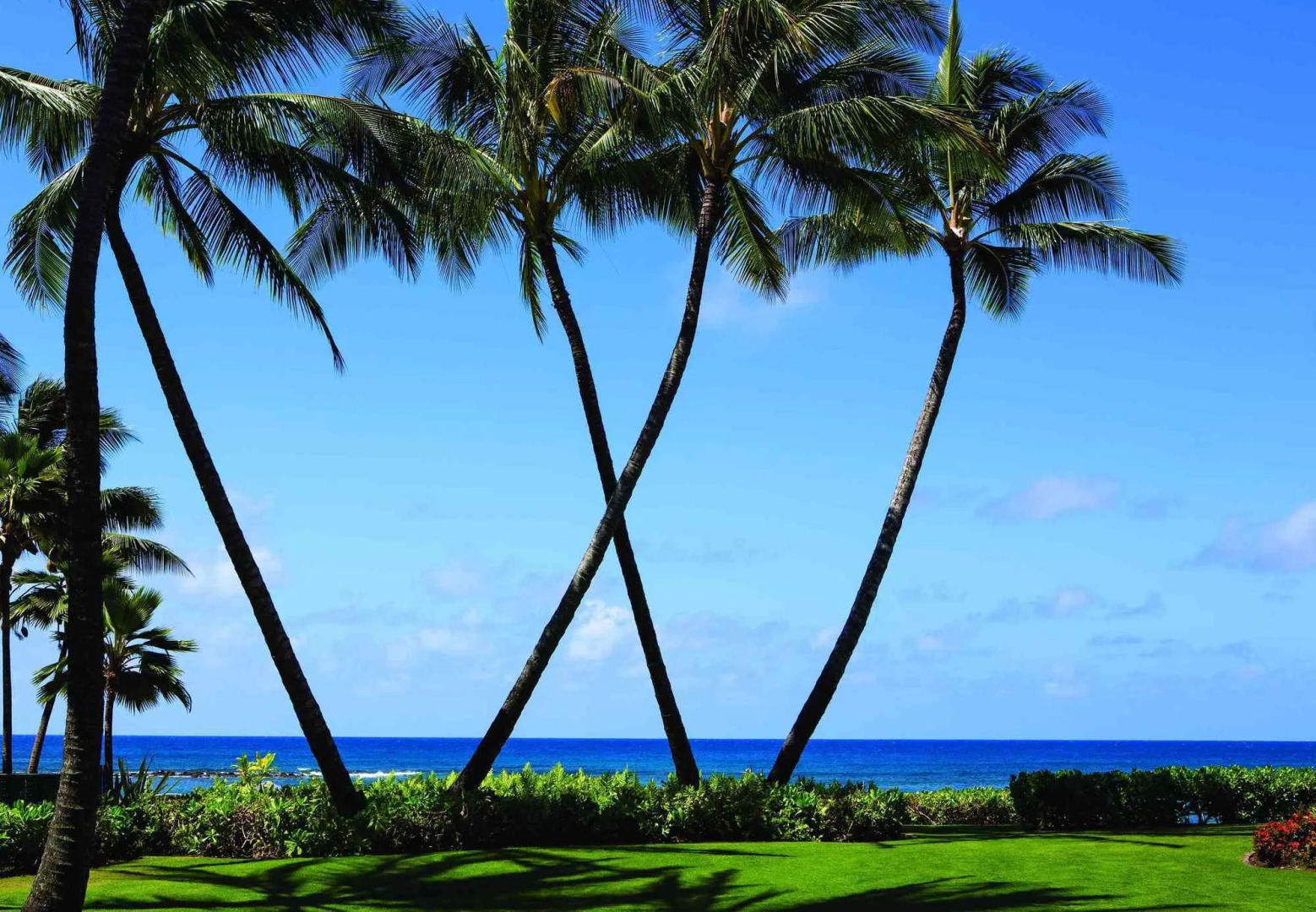 Marriott's Waiohai Beach Club