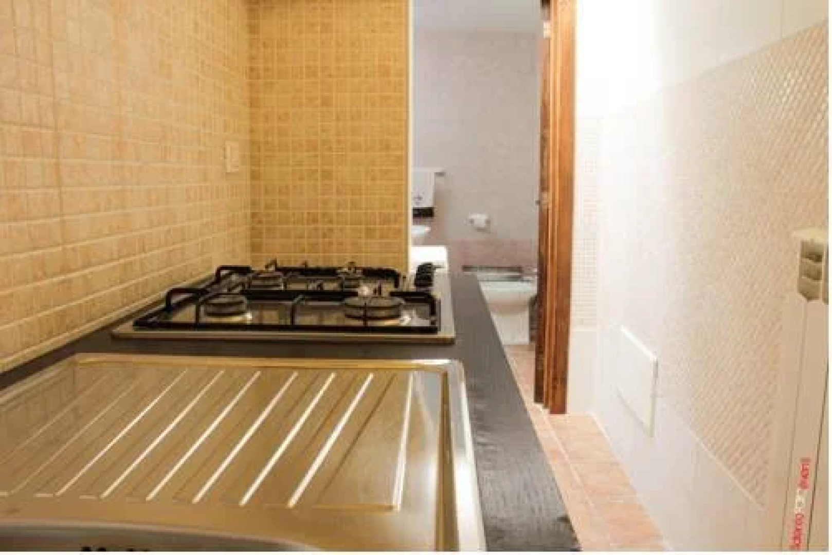 Exedra Holiday House