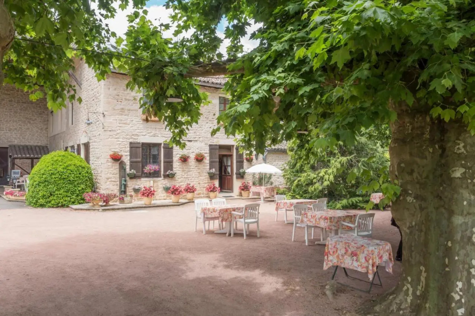 Hôtel et Appartements Les Platanes