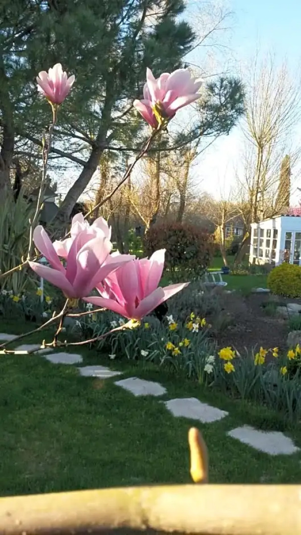 le clos de saint amour