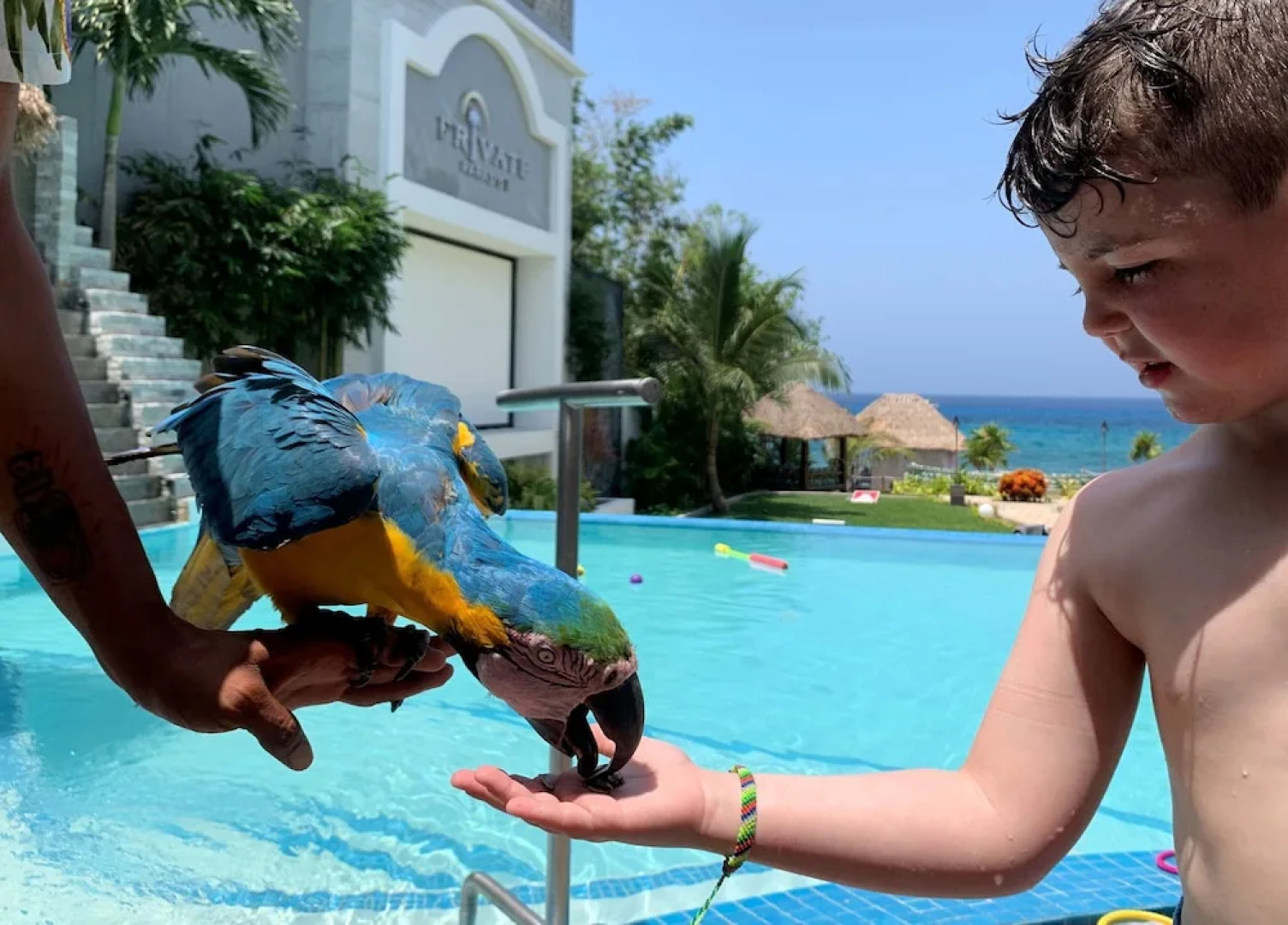 Private Paradise Villa