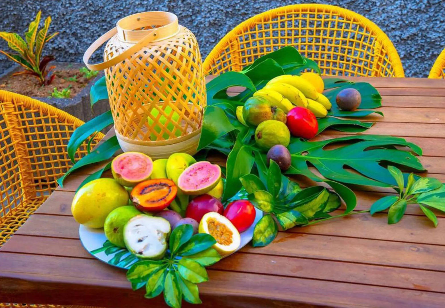 Villa Sunrise View by Madeira Sun Travel