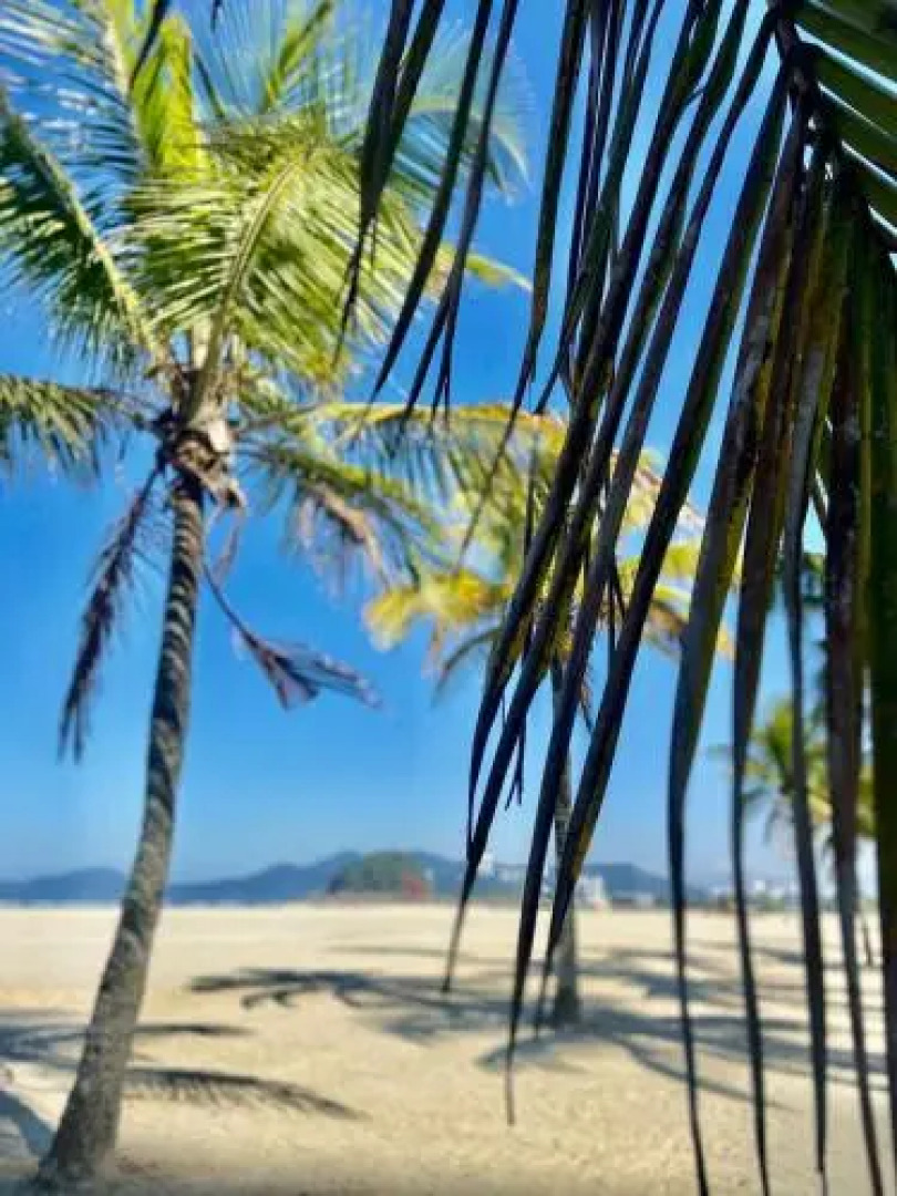 Apartamento Santos Legend